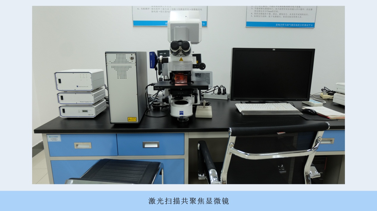 激光扫描共聚焦显微镜观察(lazer scan confocal microscope